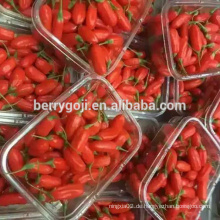 Gefrorene Goji-Beeren